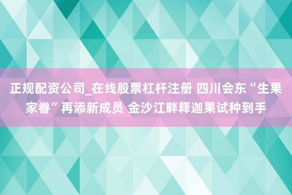 正规配资公司_在线股票杠杆注册 四川会东“生果家眷”再添新成员 金沙江畔释迦果试种到手