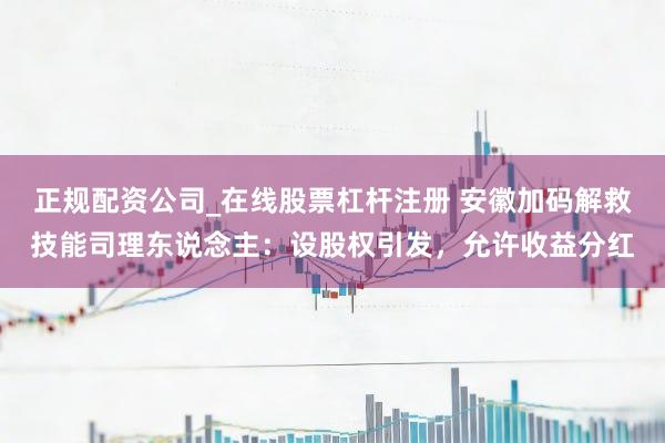 正规配资公司_在线股票杠杆注册 安徽加码解救技能司理东说念主：设股权引发，允许收益分红